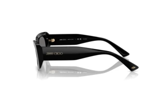 Seitenansicht Jimmy Choo JC5029U (501781)