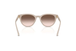 Rückansicht Jimmy Choo JC5043D (50333B)