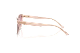Seitenansicht Jimmy Choo JC5043D (505268)