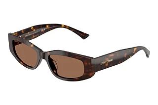 Jimmy Choo JC5046BU 500273 Dark BrownHavana