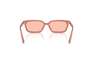 Rückansicht Jimmy Choo JC5050U (508484)