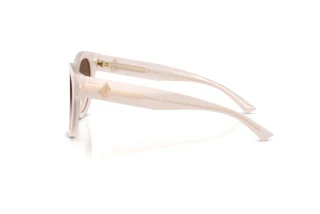 Seitenansicht Jimmy Choo JC5053 (50253B)