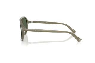 Seitenansicht Jimmy Choo JC5055U (508271)