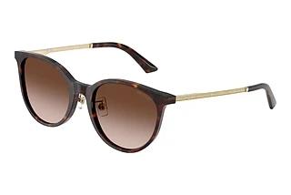 Jimmy Choo JC5056JD 500213 Gradient BrownHavana