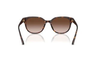 Rückansicht Jimmy Choo JC5057D (500213)