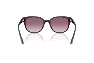 Rückansicht Jimmy Choo JC5057D (50866X)