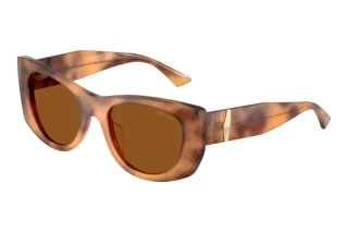 Vorderansicht Jimmy Choo JC5066U (509673)