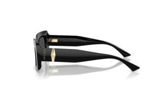 Seitenansicht Jimmy Choo JC5067 (500087)