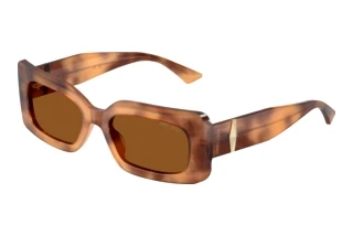 Vorderansicht Jimmy Choo JC5067 (509673)