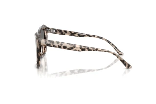 Seitenansicht Jimmy Choo JC5076 (5115G9)
