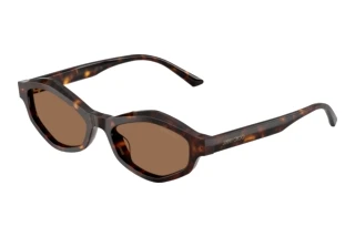 Vorderansicht Jimmy Choo JC5077U (500273)