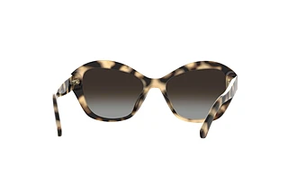 Rückansicht Kate Spade AGLAIA/S (1EZ/LA)