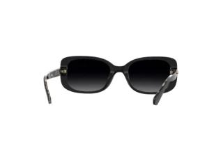 Rückansicht Kate Spade DIONNA/S (807/WJ)