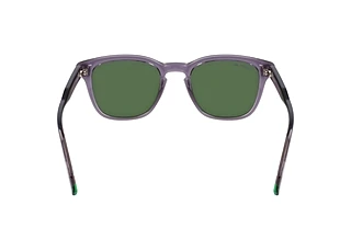 Rückansicht Lacoste L6026S (035)