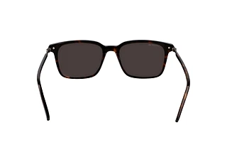 Rückansicht Lacoste L6035S (230)