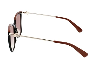 Seitenansicht Longchamp LO683S (001)