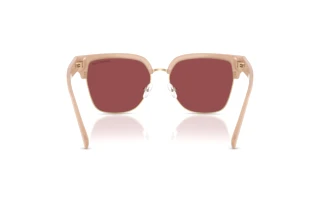 Rückansicht Michael Kors ST. EUSTATIUS (MK2262 - 4038E4)