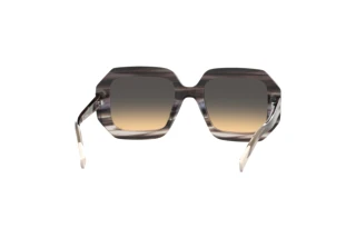 Rückansicht Missoni MIS 0113/S (3XH/GA)