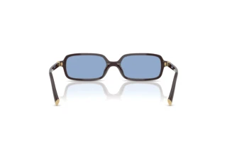 Rückansicht Miu Miu MU 11ZS (22C60O)