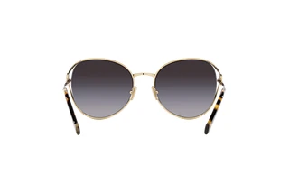 Rückansicht Miu Miu MU 53YS (ZVN5D1)