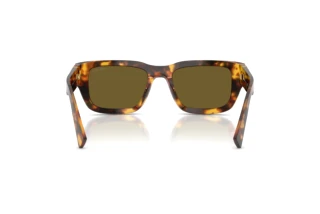 Rückansicht Miu Miu MU C04S (14L09Z)
