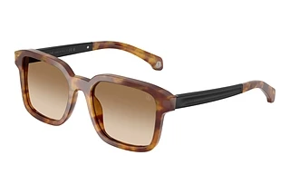 Moncler ME6006 301189 Light Brown Gradient BrownHavana Honey