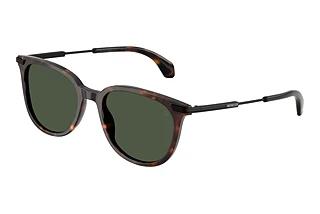 Moncler ME6013 30029A Polar Solid GreenShiny Havana