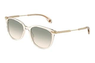 Moncler ME6013 30032C Gradient BrownShiny Butter
