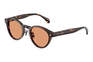Moncler ME6017D 3002/7 Brown SolidShiny Havana