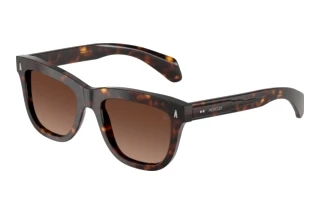 Vorderansicht Moncler BRONZZ (ME6023 - 3002T5)