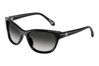 Vorderansicht Moncler ME6031U (30013C)