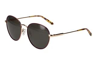 Morgan 207381 3500 Gold