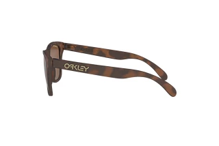 Seitenansicht Oakley FROGSKINS (OO9013 - 9013C5)
