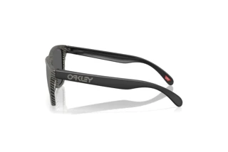 Seitenansicht Oakley FROGSKINS (OO9013 - 9013M0)