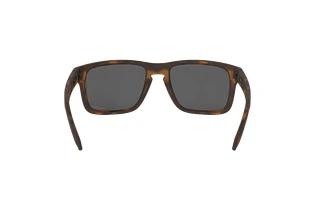 Rückansicht Oakley HOLBROOK (OO9102 - 9102F4)