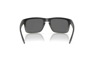 Rückansicht Oakley HOLBROOK (OO9102 - 9102Z0)