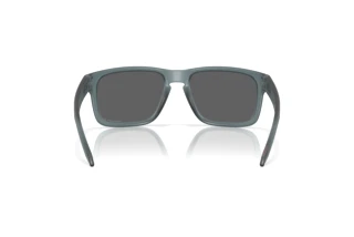 Rückansicht Oakley HOLBROOK (OO9102 - 9102Z4)
