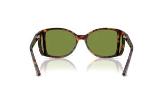 Rückansicht Persol PO0005 (24/4E)