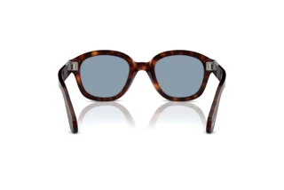 Rückansicht Persol PO0060S (24/56)