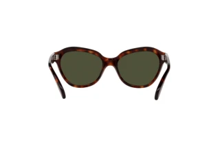 Rückansicht Persol PO0582S (24/31)
