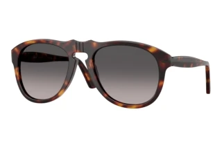 Vorderansicht Persol PO0649NE (24/M3)