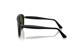 Seitenansicht Persol PO0649NE (95/31)