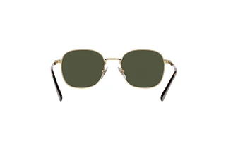 Rückansicht Persol PO1009S (515/31)