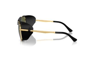 Seitenansicht Persol PO1013SZ (114958)