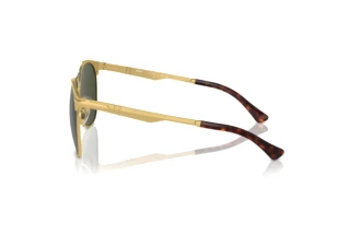 Seitenansicht Persol PO1016S (515/31)