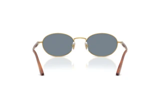 Rückansicht Persol IDA (PO1018S - 113256)