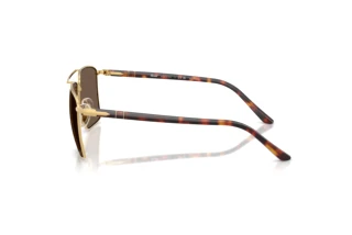 Seitenansicht Persol PO1031S (11568T)