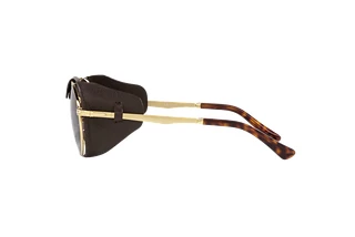 Seitenansicht Persol PO2496SZ (114057)