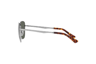 Seitenansicht Persol PO2497S (513/58)