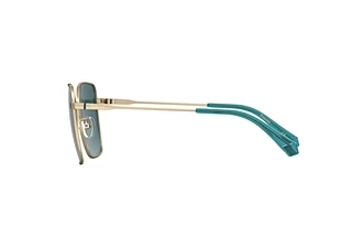 Seitenansicht Polaroid PLD 4158/G/S/X (OGA/C3)